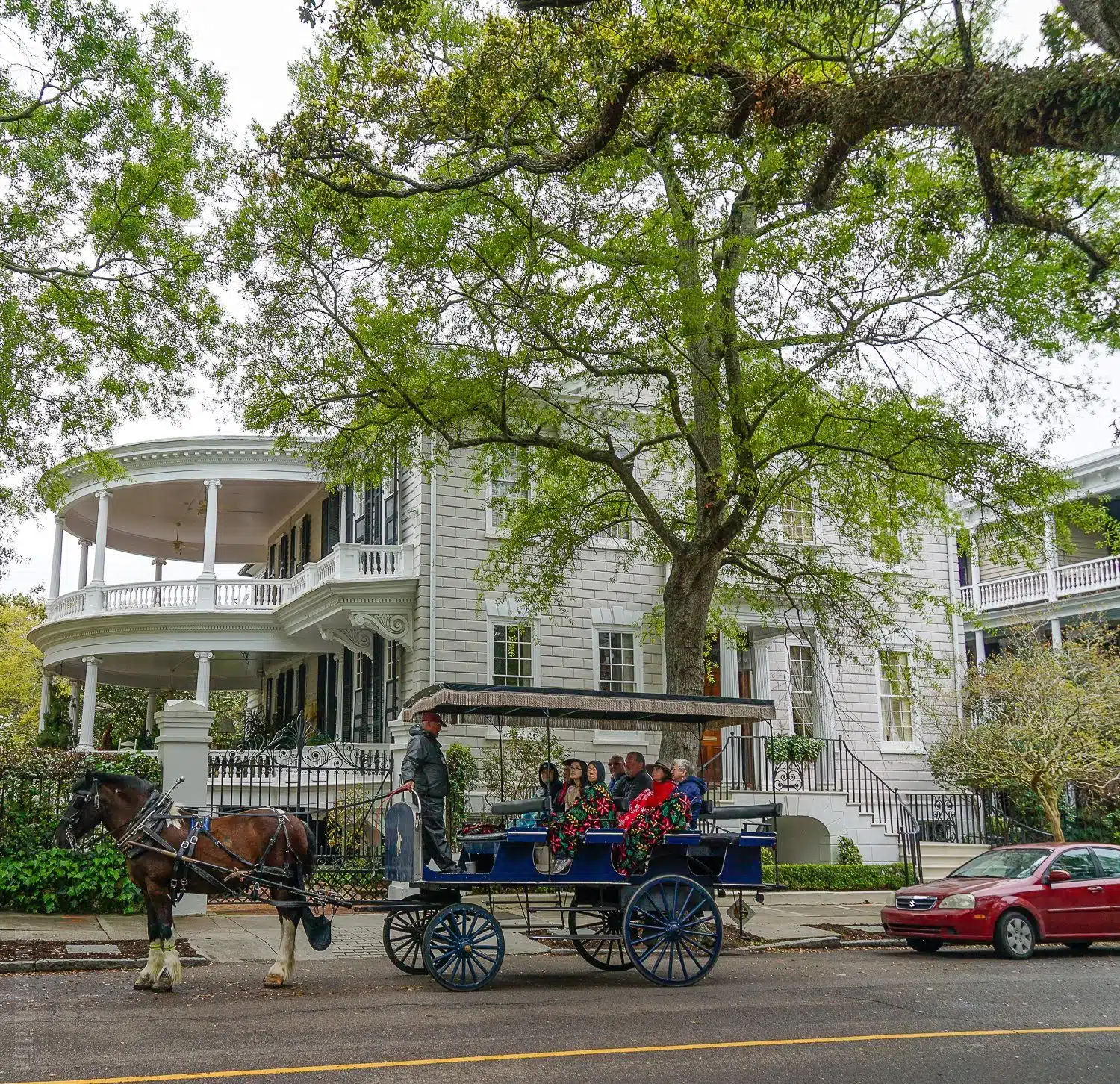 Horse-drawn carriage is one of the best ways to see Charleston.