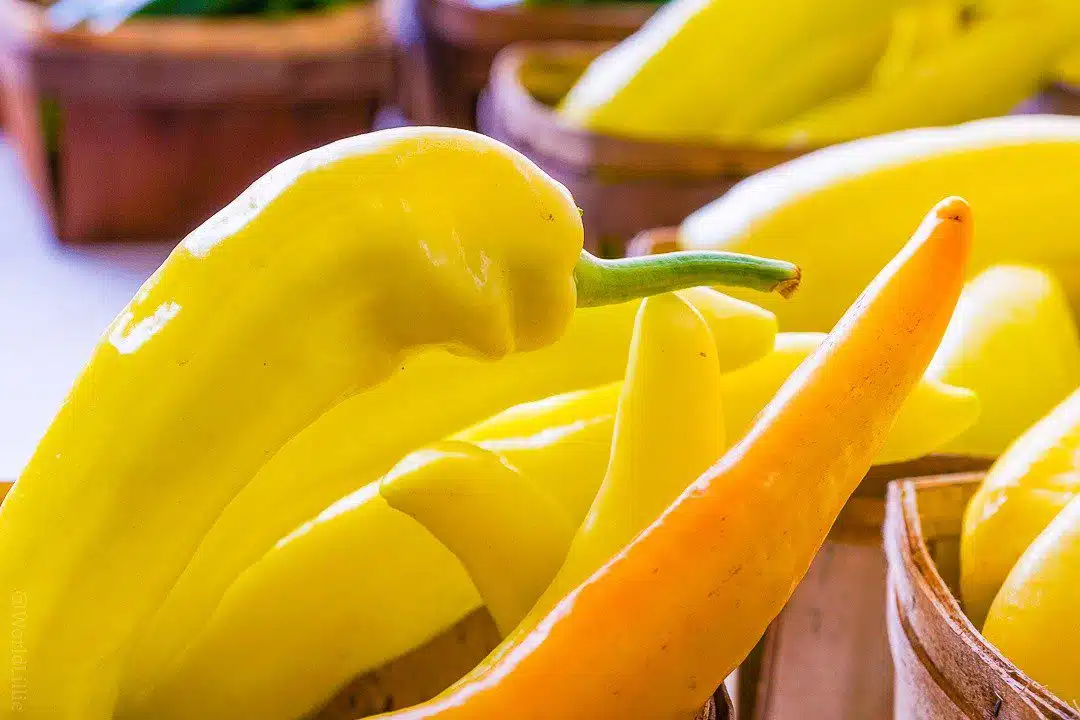 Does this yellow pepper have a green thumb?
