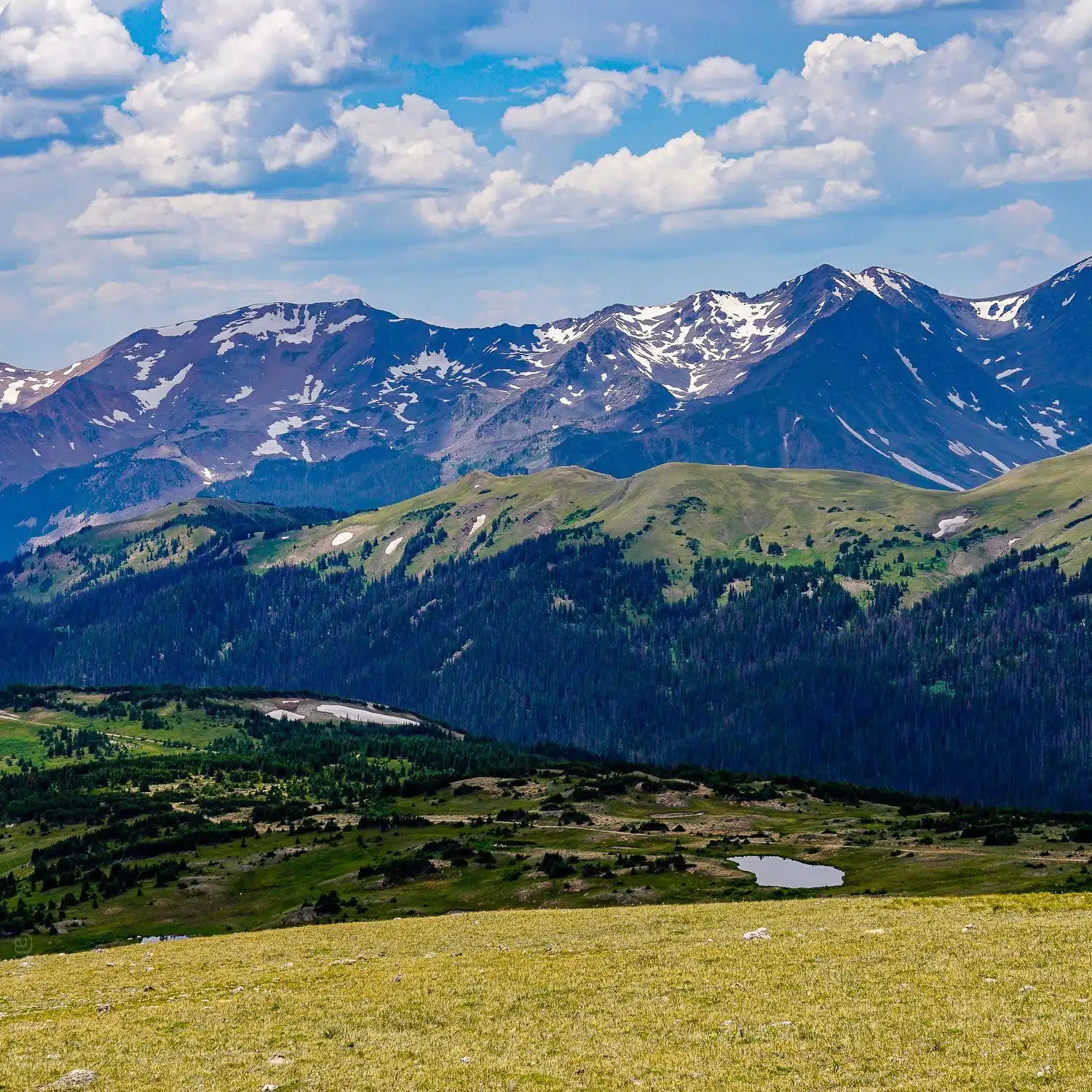 RMNP has Colorado mountains galore