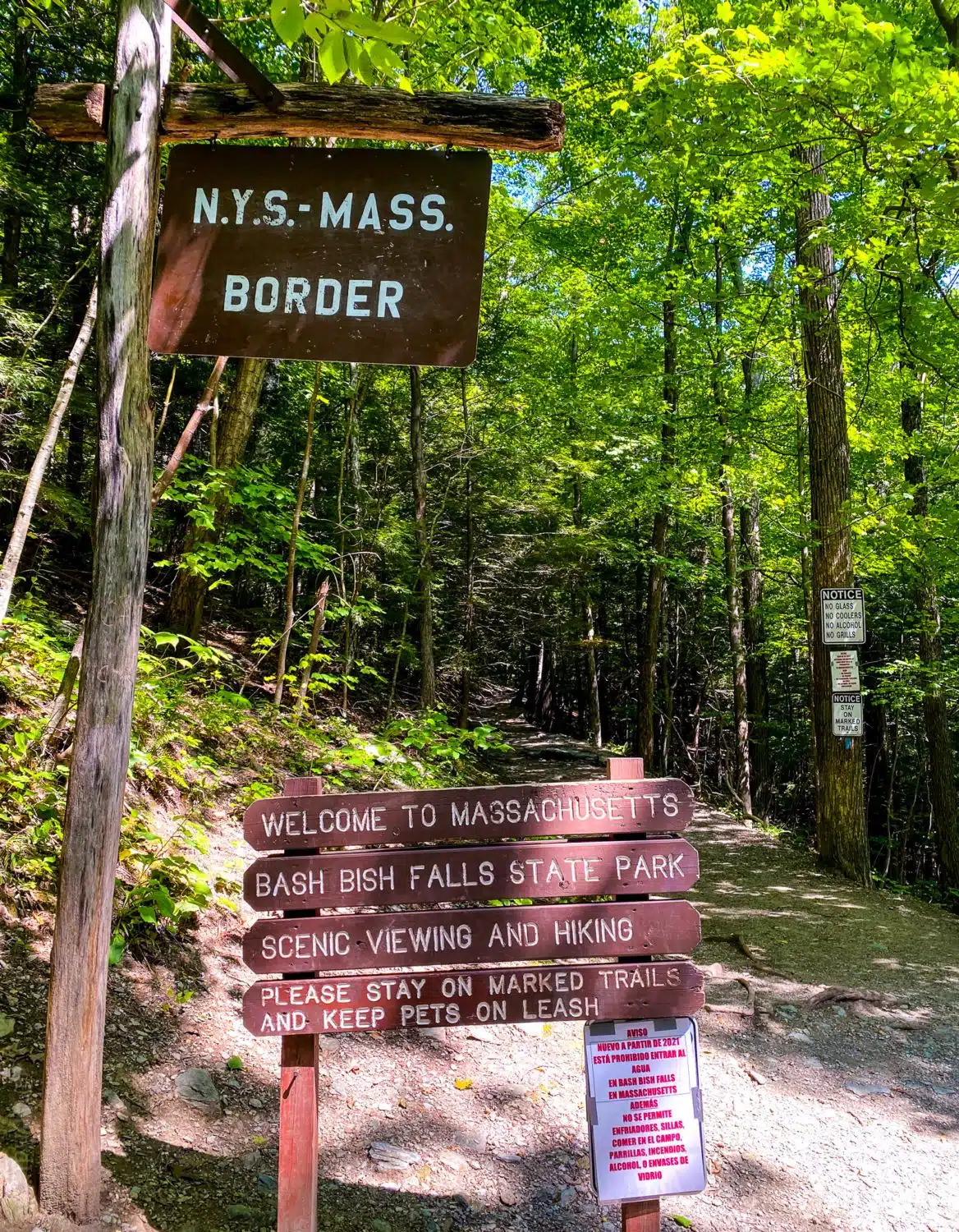 You'll walk across the NY-MA border on the Taconic State Park trail.