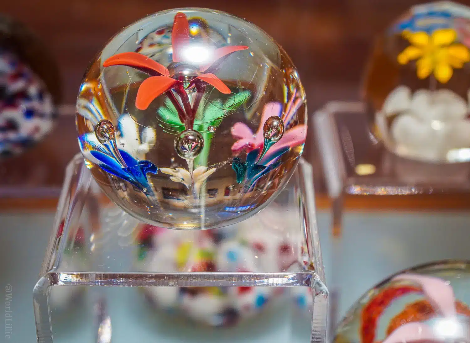 Flowers and bubbles in glass paperweights