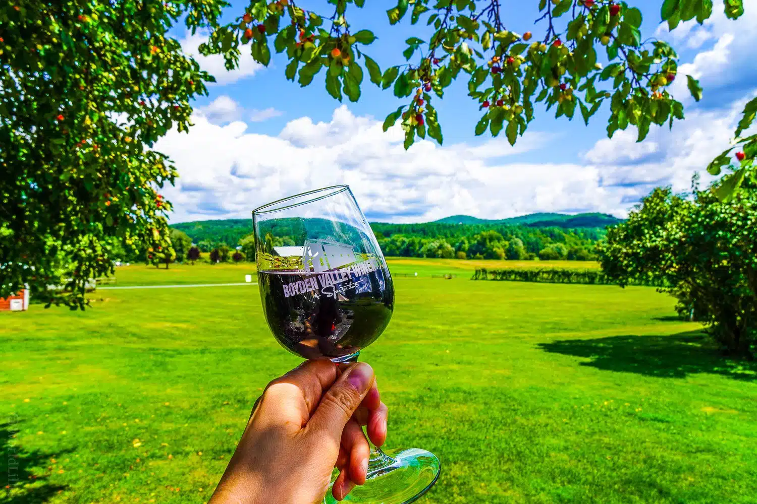 Wine tasting in Vermont