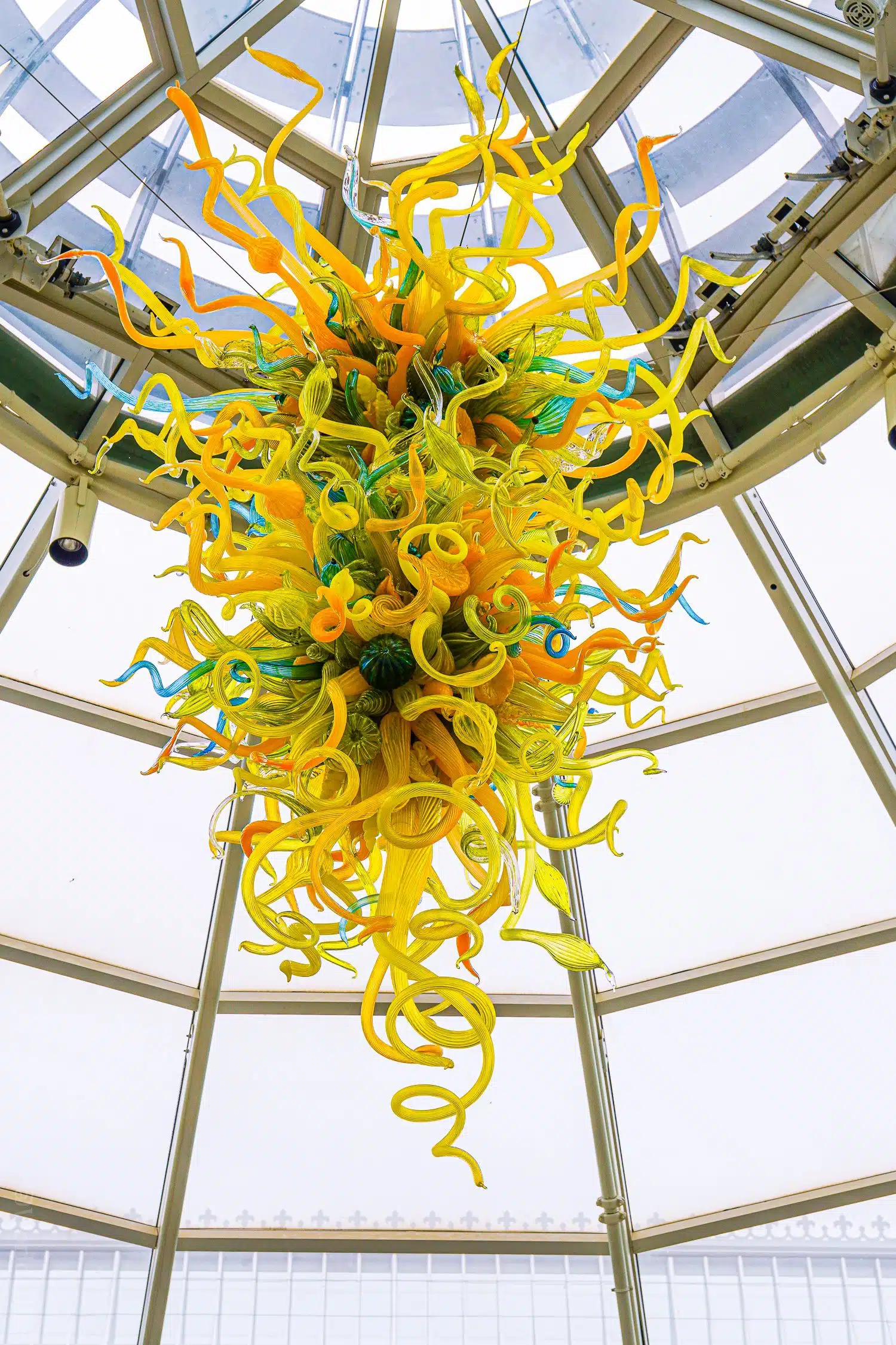 A Chihuly glass chandelier in the atrium.
