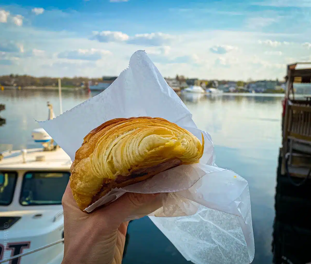 Eating a croissant from Elephantine at the Portsmouth, NH harbor.