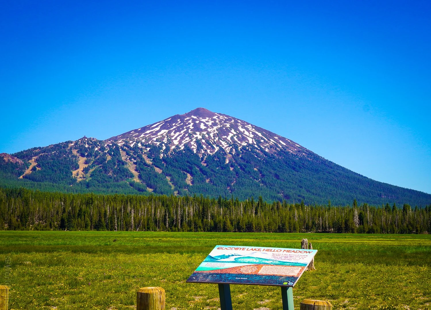 The meadow by Mount Bachelor.