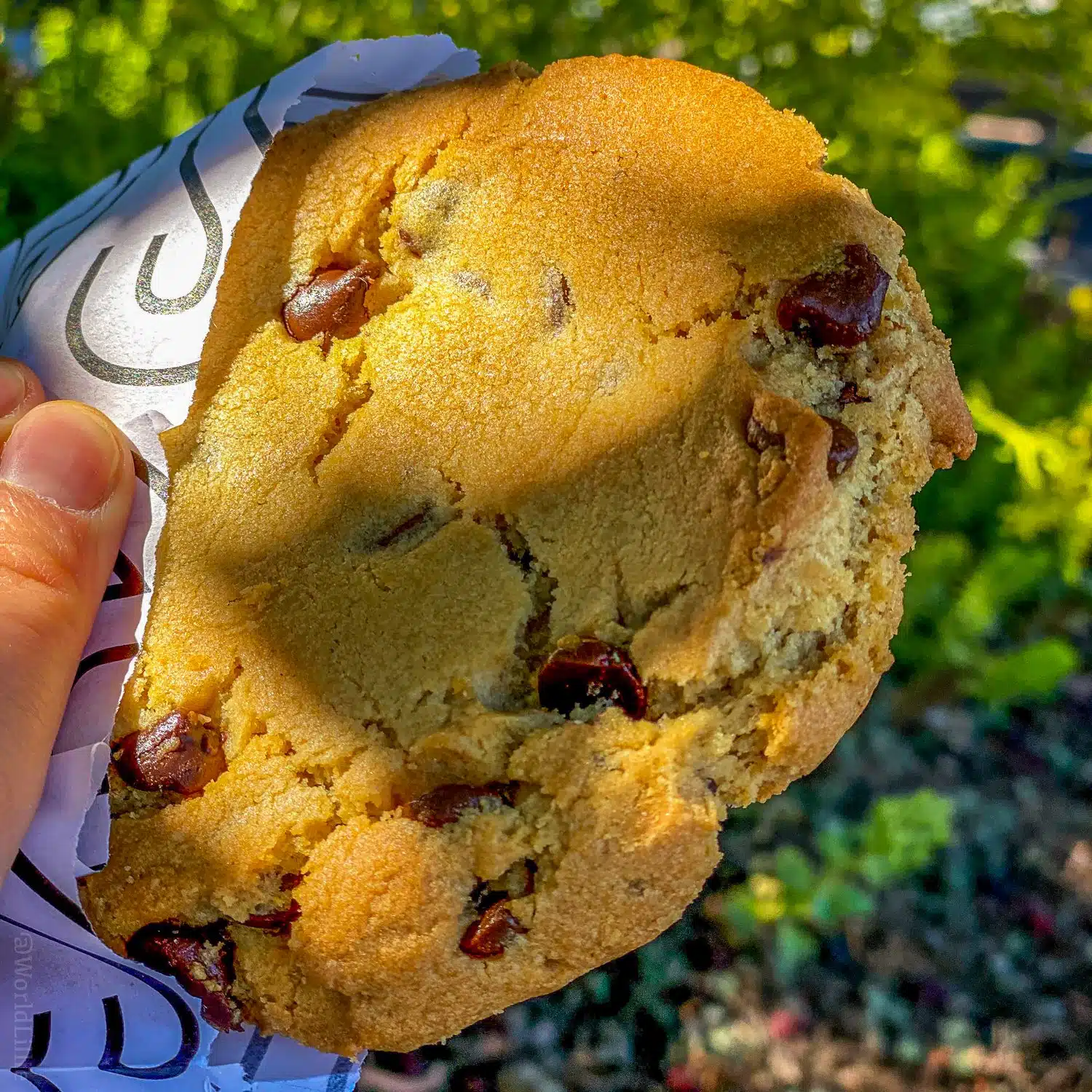 A Sparrow chocolate chip cookie in Bend, OR.