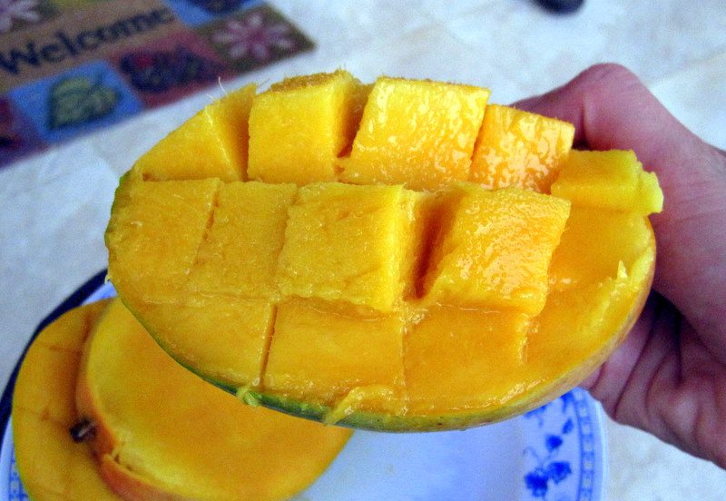 The best way to cut a mango!