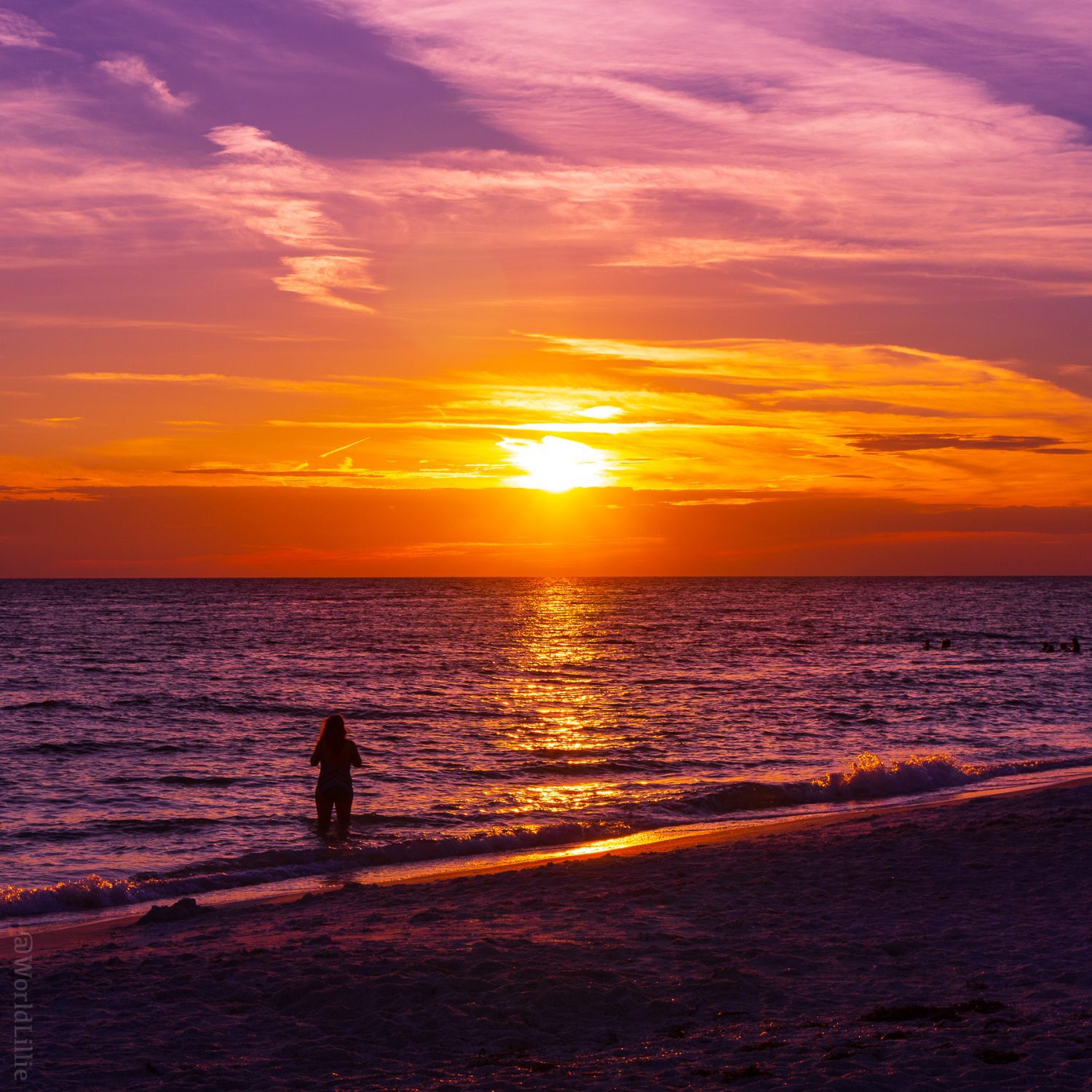 Wine colored sunset on the Florida coast.