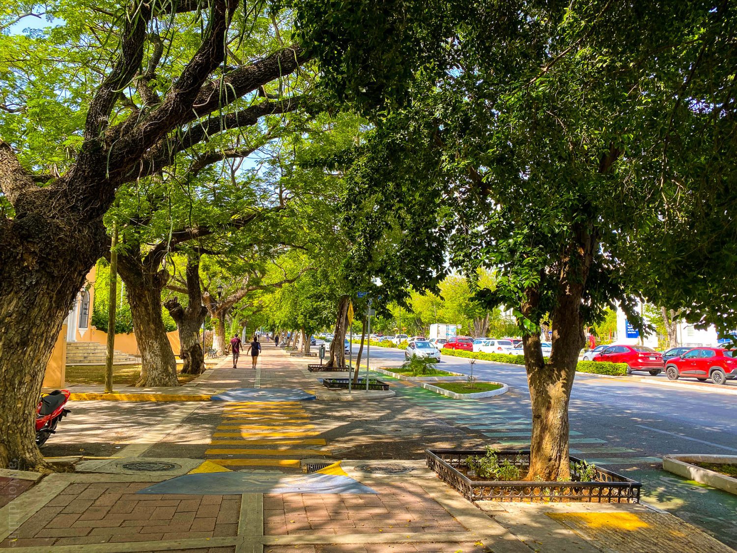 Paseo de Montejo in Merida is leafy and luxurious.