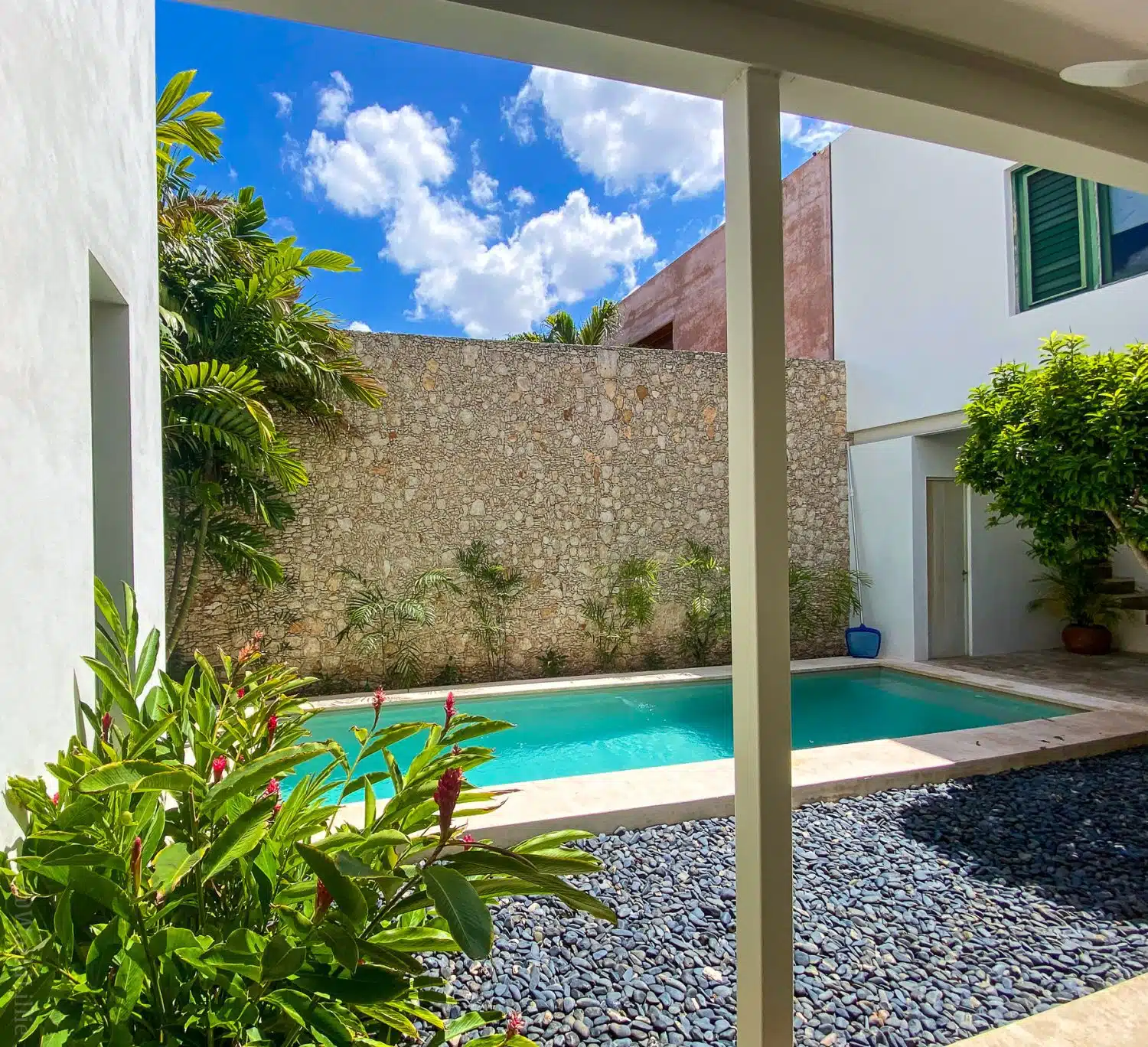 The courtyard pool of a friend's AirBnb rental in Merida.