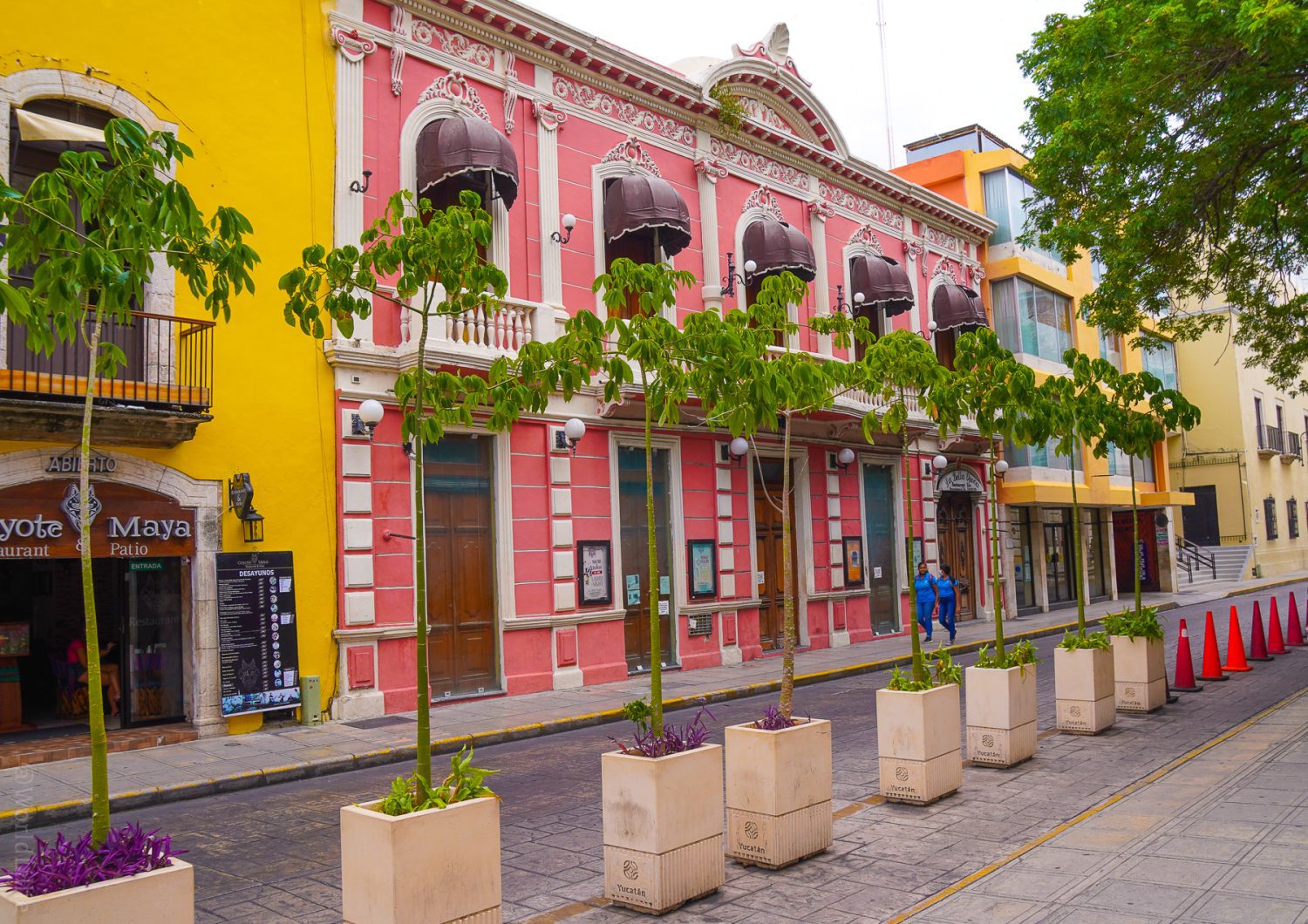 A pink building in Merida's Centro.