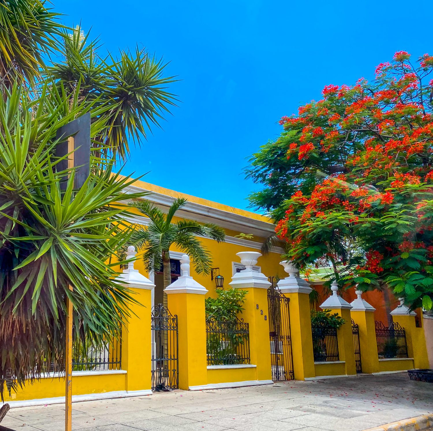 A bright yellow building in Merida.