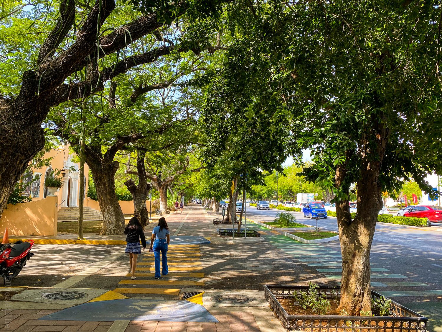 The wide, inviting sidewalks of Paseo de Montejo.
