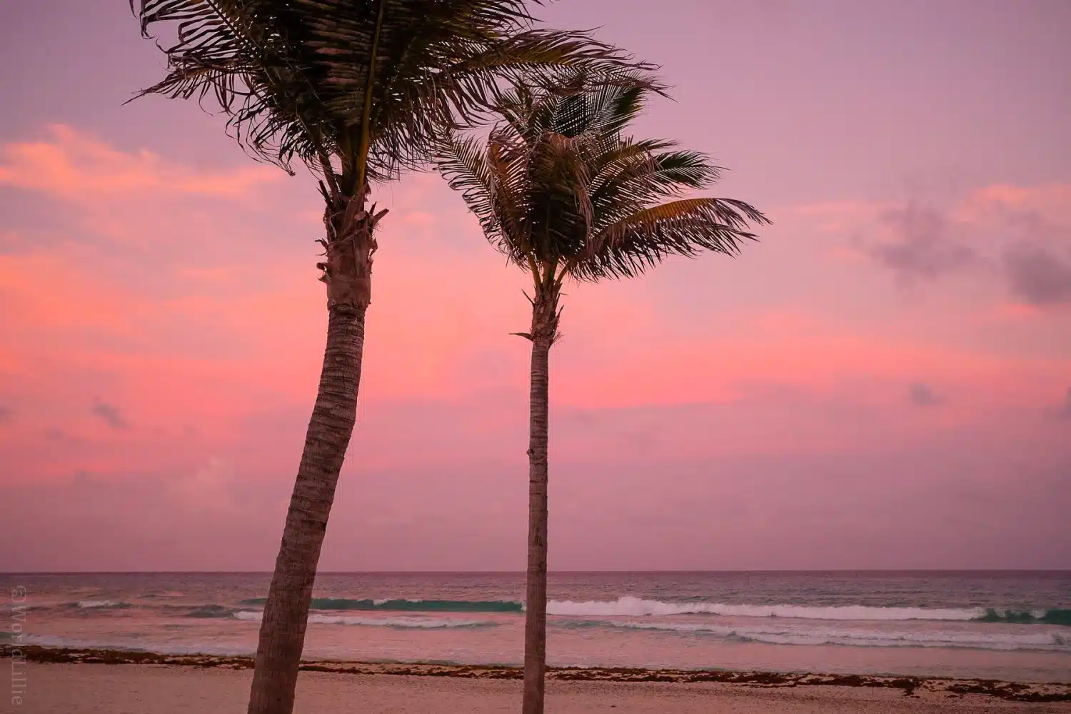 A pink sunset on the Cancun beach.