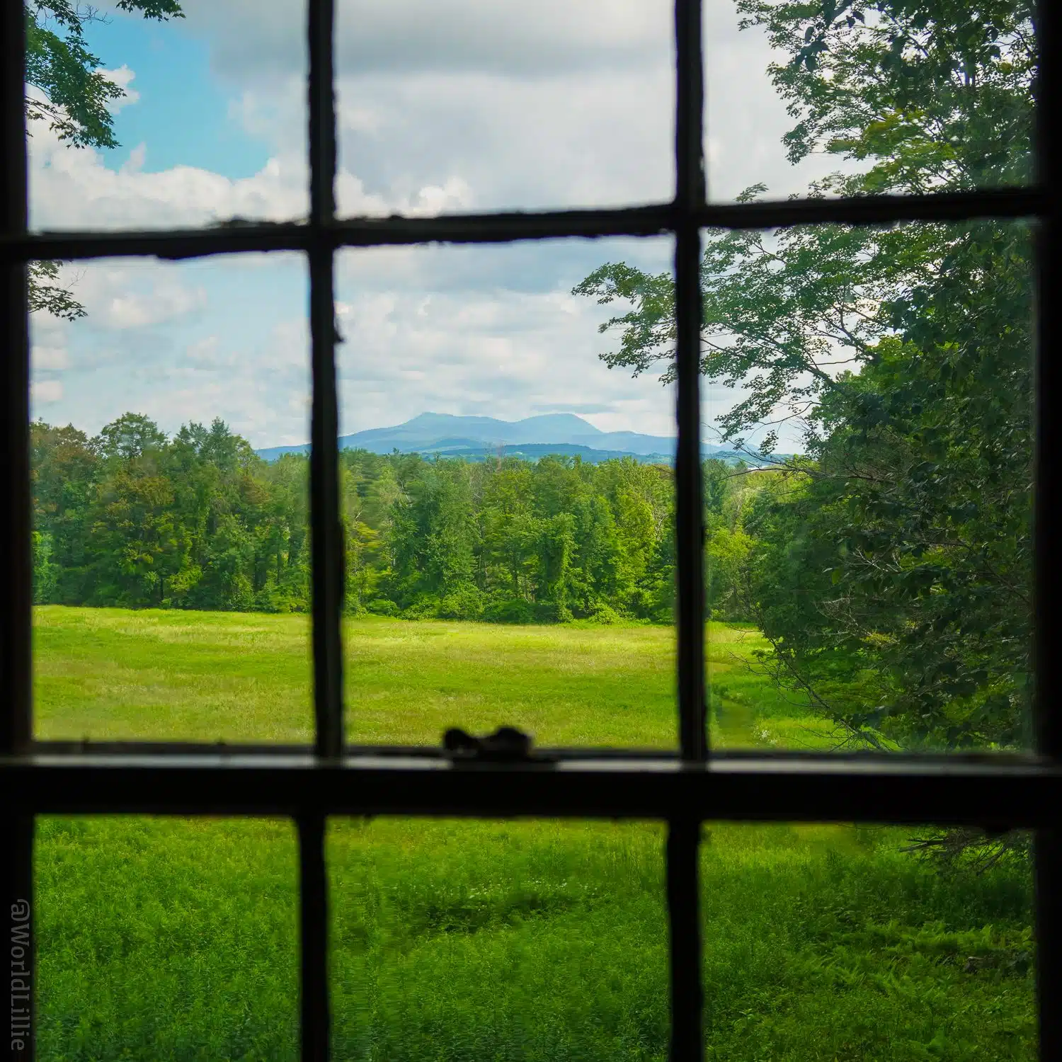 The view of Mount Greylock from Melville's study window!