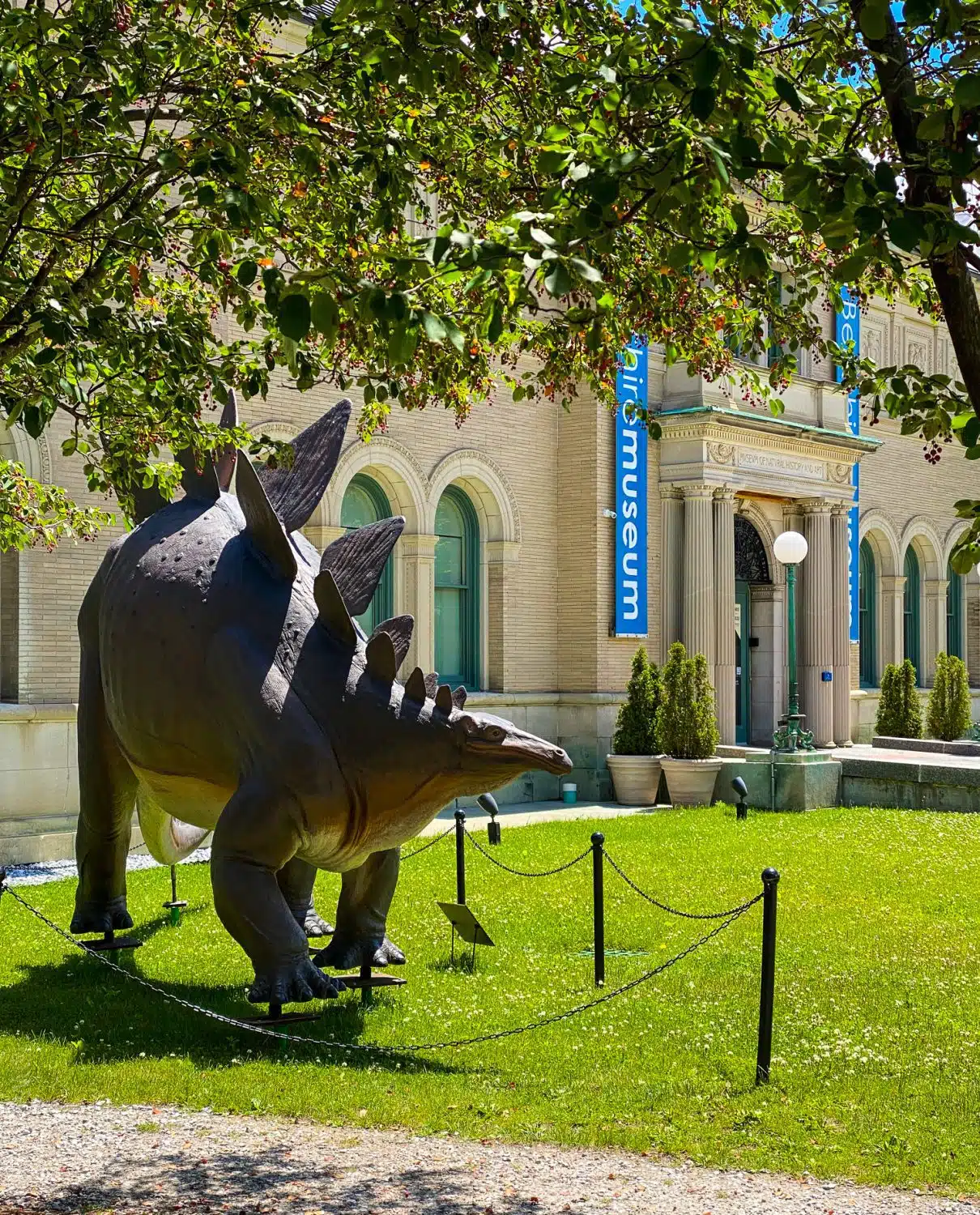 The dinosaur at the entrance of the Berkshire Museum.