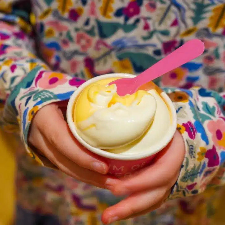 The creamy ice cream from the Museum of Ice Cream's 