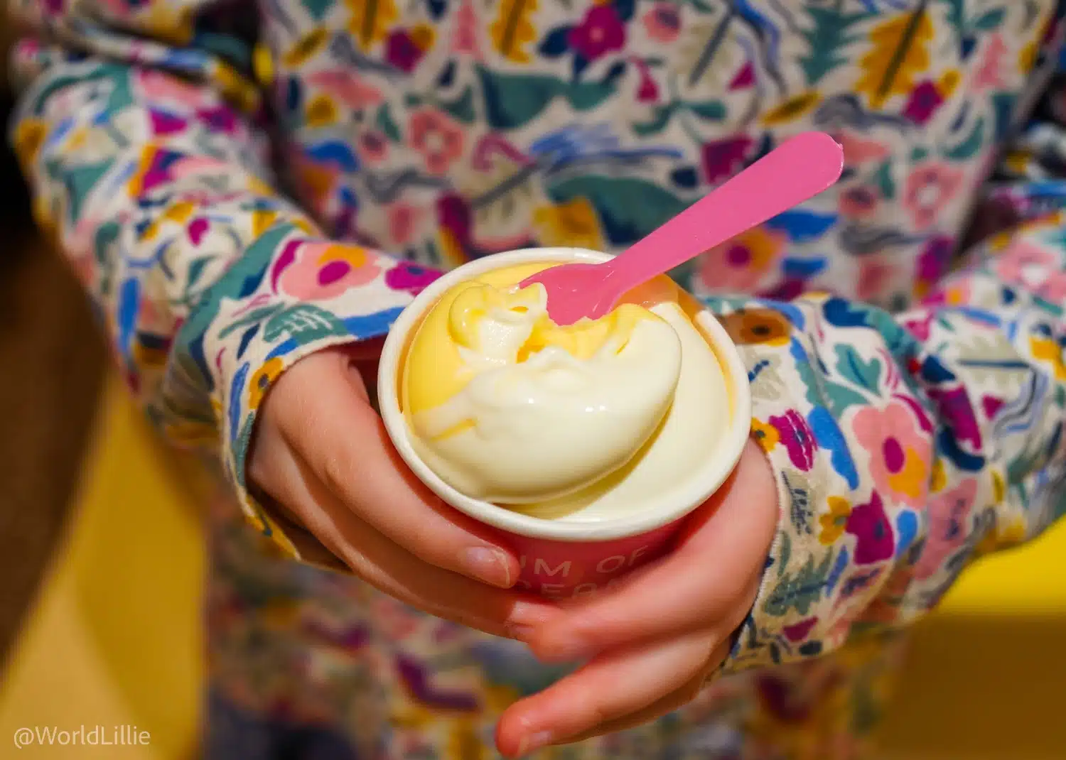 The creamy ice cream from the Museum of Ice Cream's "Creamliner" fake plane.
