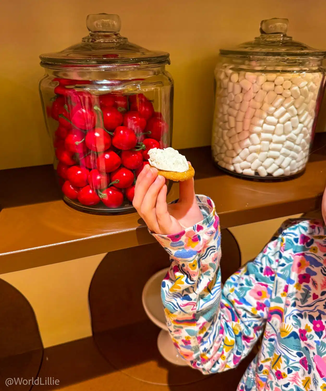 A cookie with marshmallow ice cream at the Museum of Ice Cream.