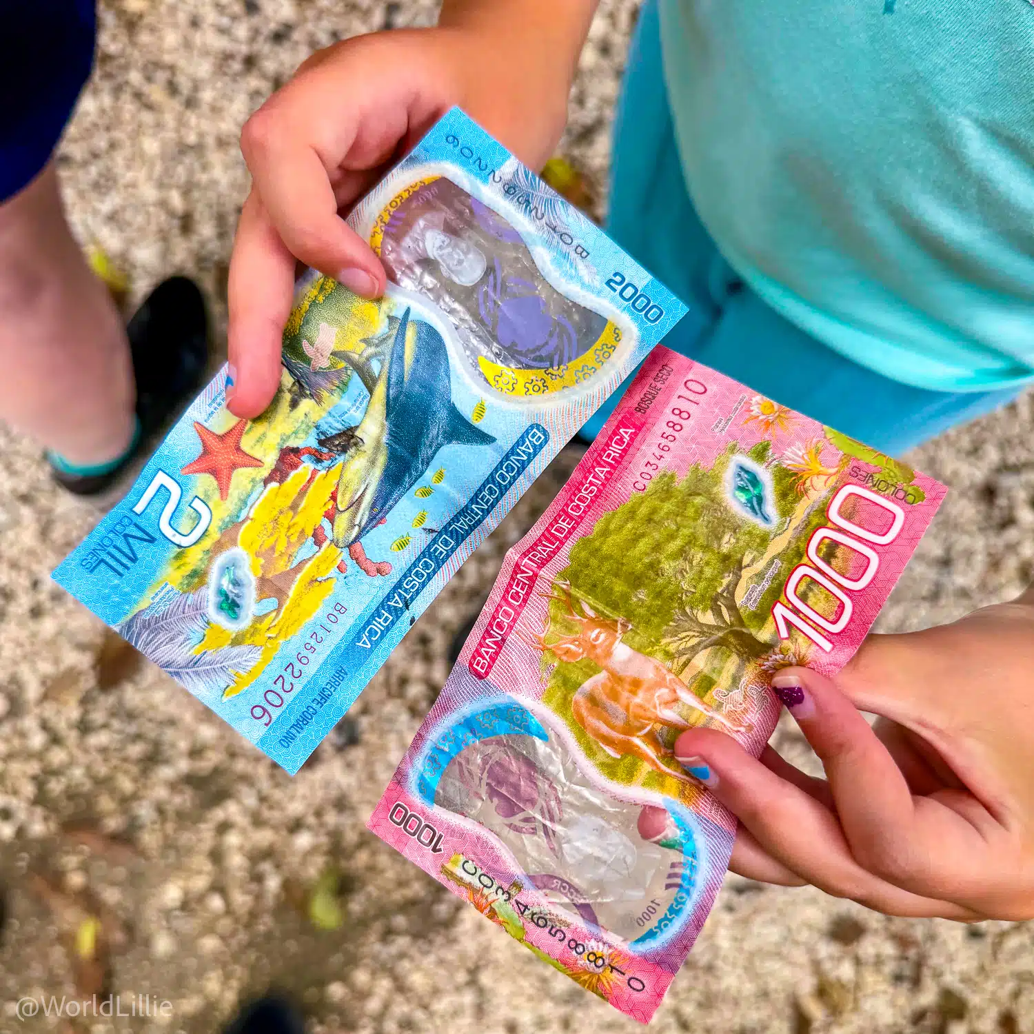 Costa Rican money is so pretty -- and also waterproof!