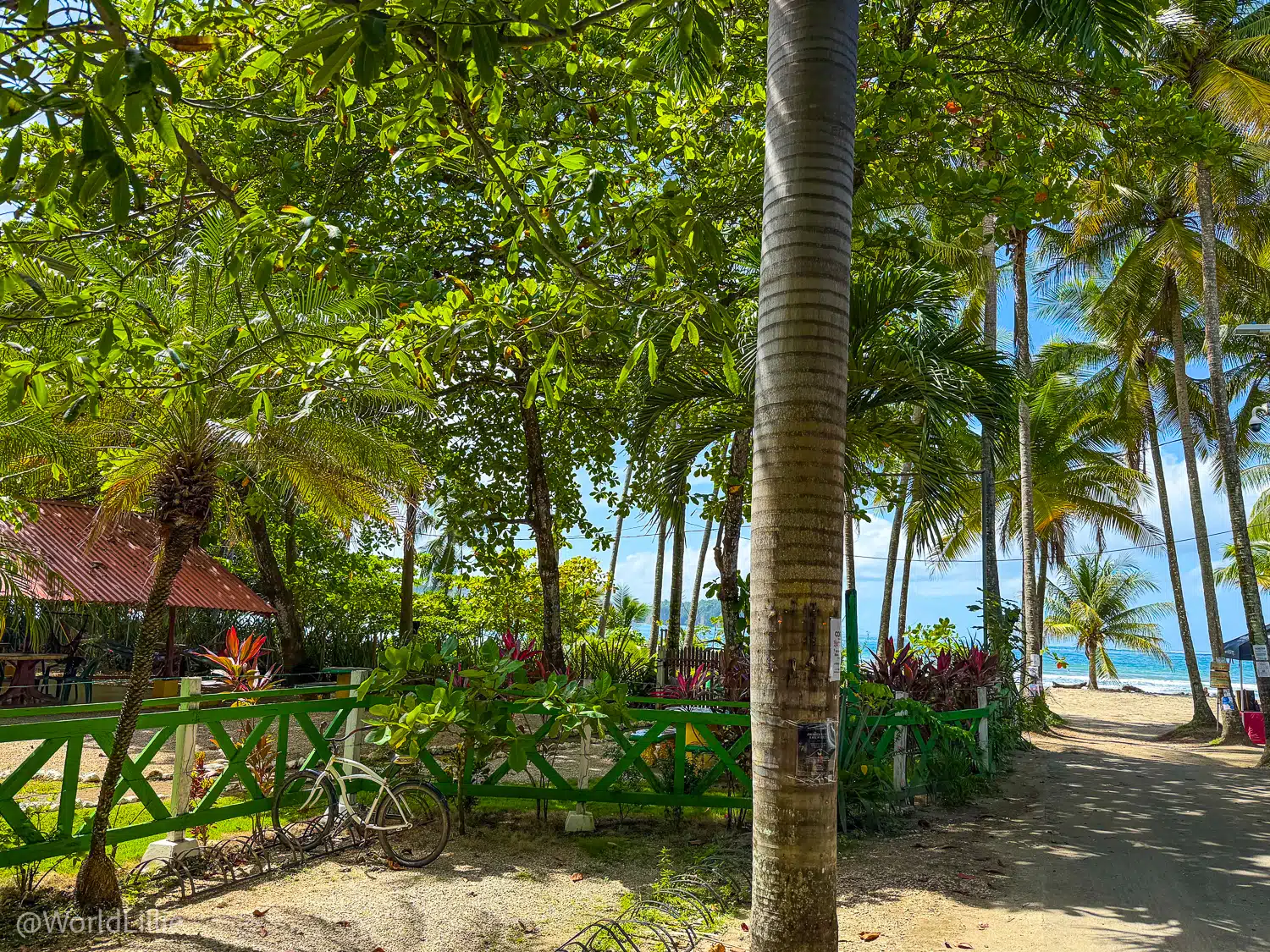The Spanish immersion school is to the left, and Costa Rican beach to the right!