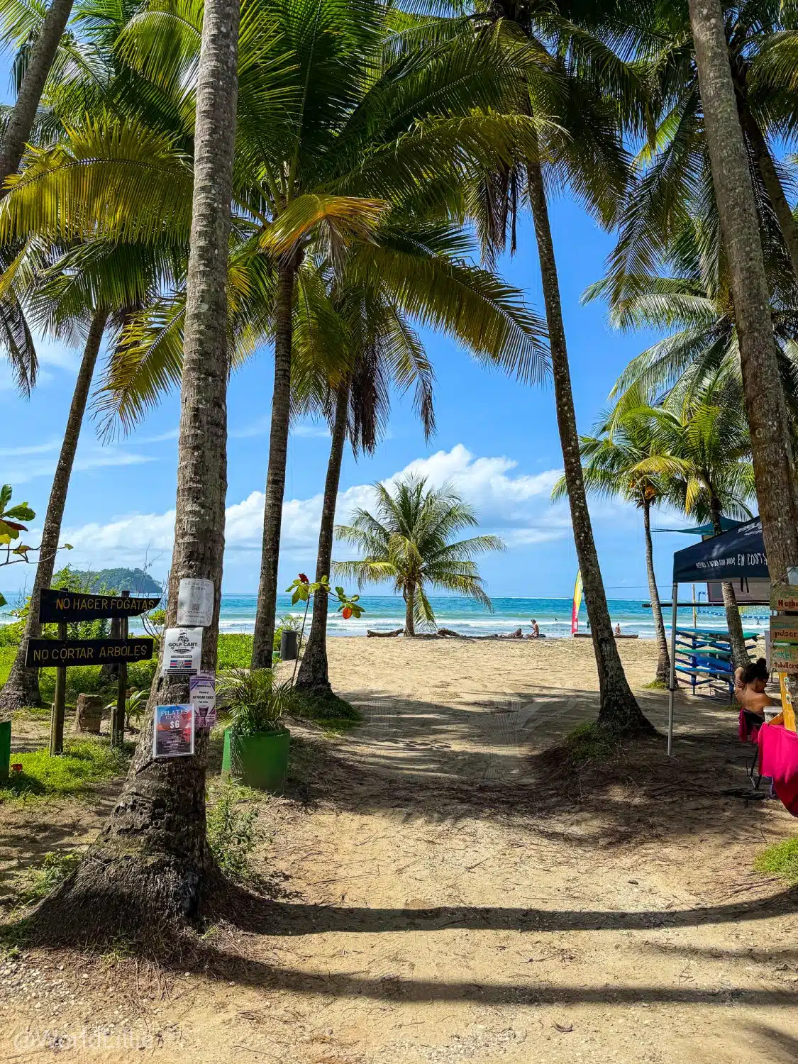 The beach view from Intercultura's driveway!