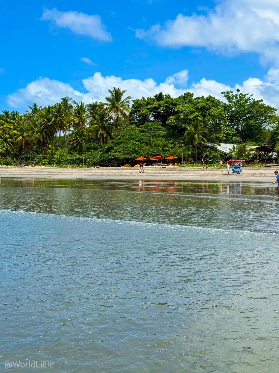 The view from the ocean to the shore where the Spanish school sits.