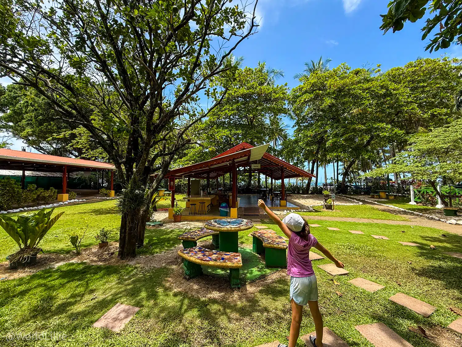 Thank you, Intercultura Spanish immersion school in Samara, Costa Rica!