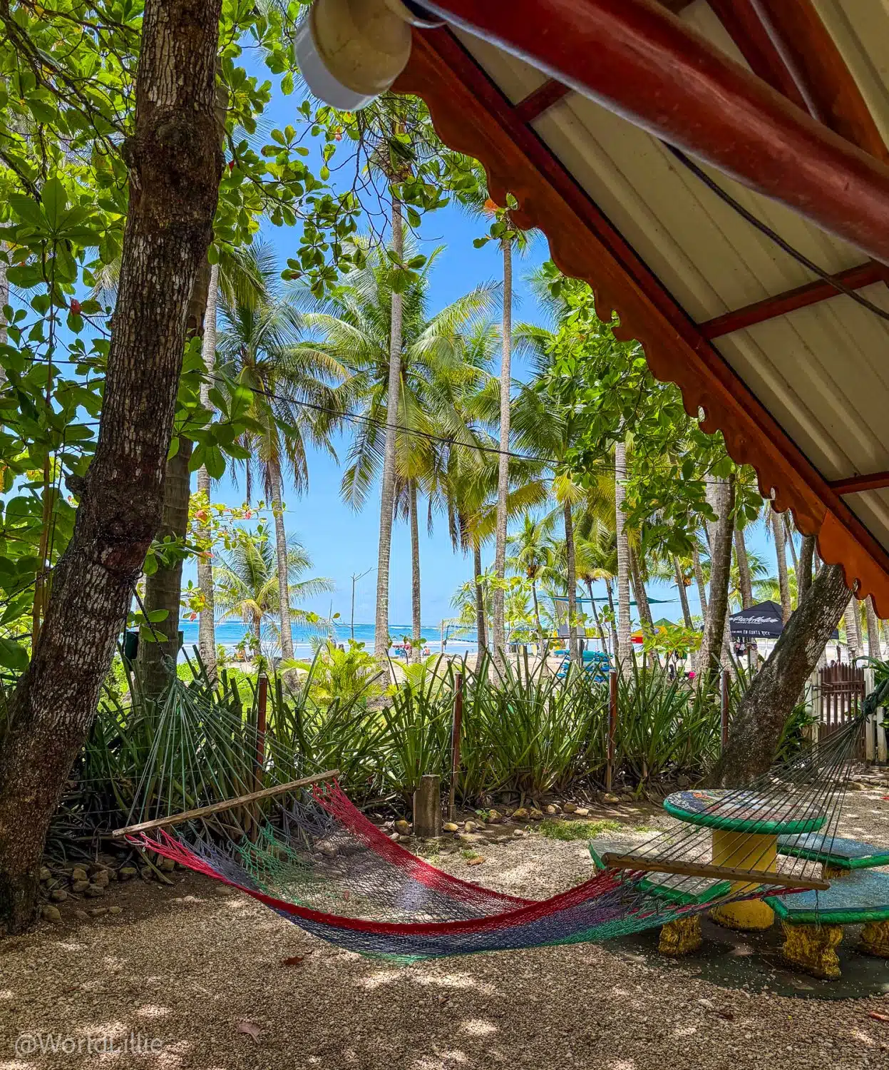 One of the Spanish immersion school's many wonderful hammocks.