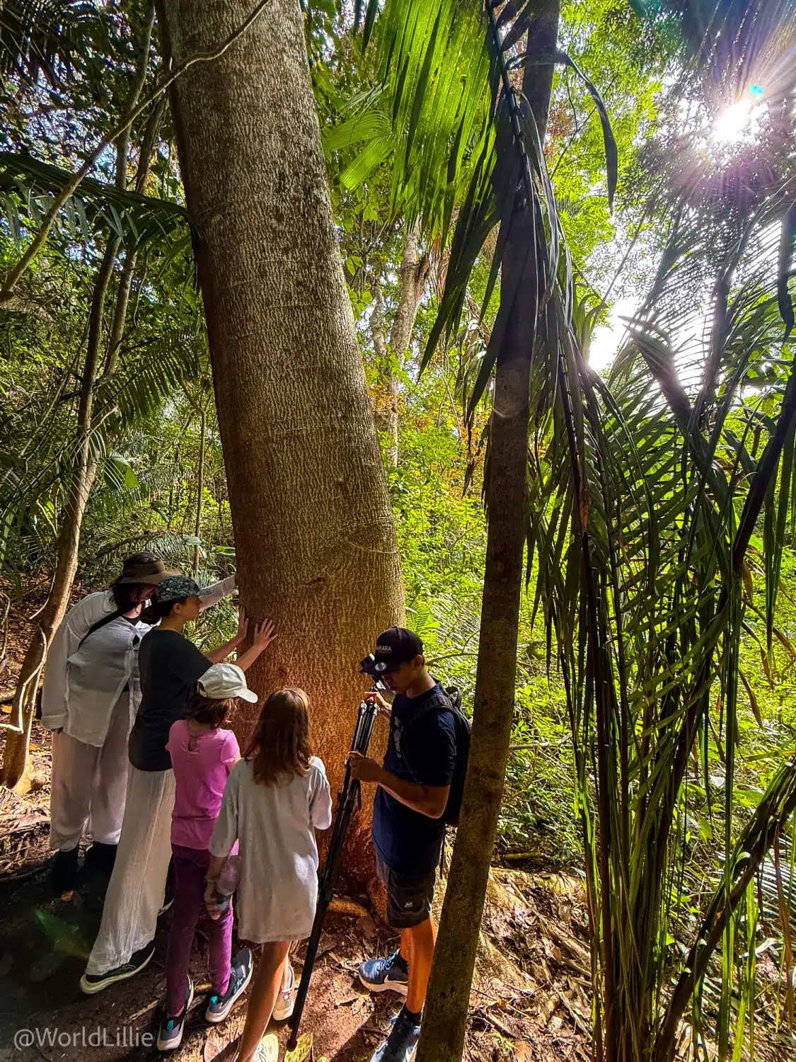 Learning about trees and looking for monkeys on our nature trek.