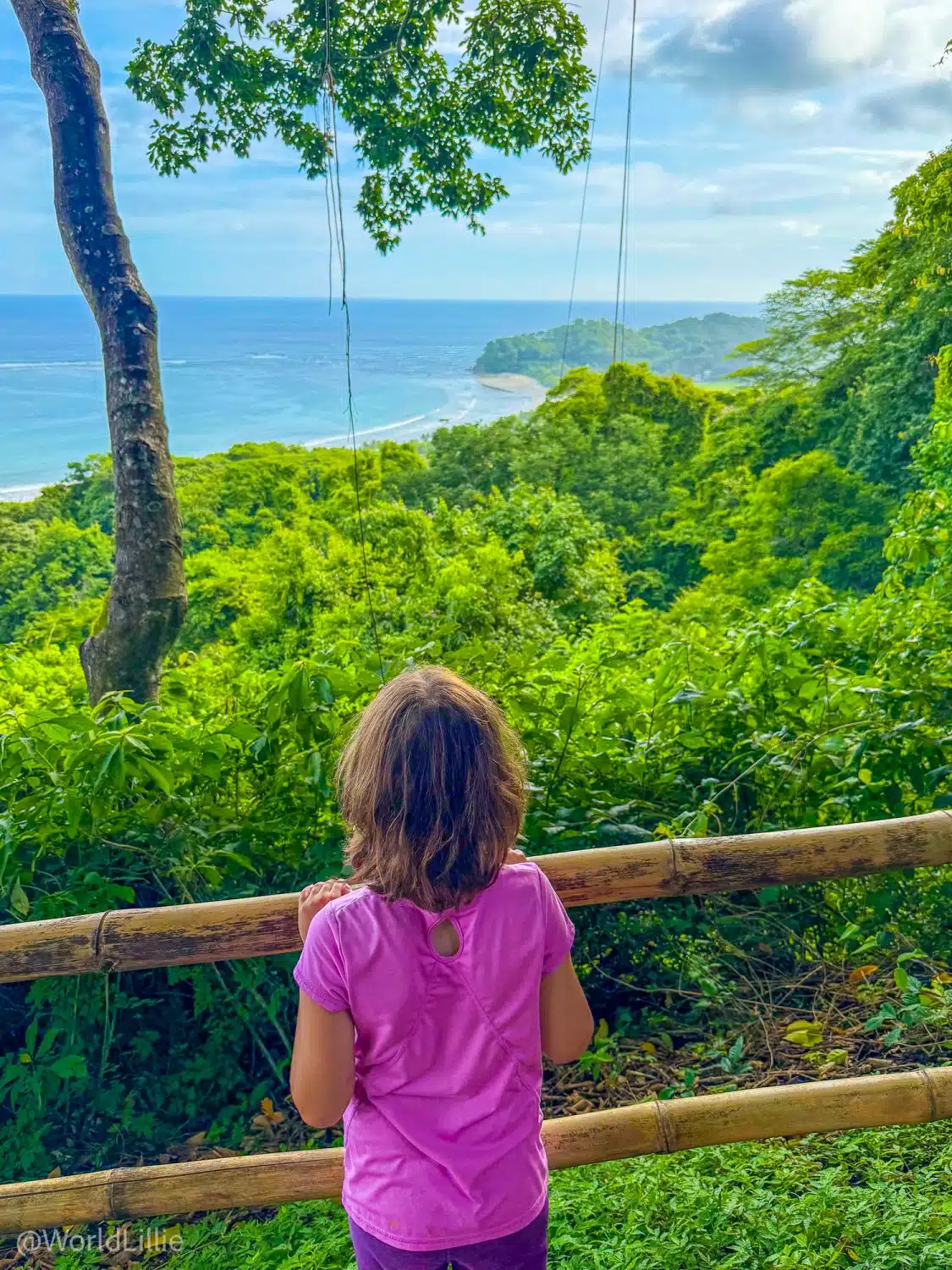 The benefit of the rainy season in Costa Rica is everything is green and lush.