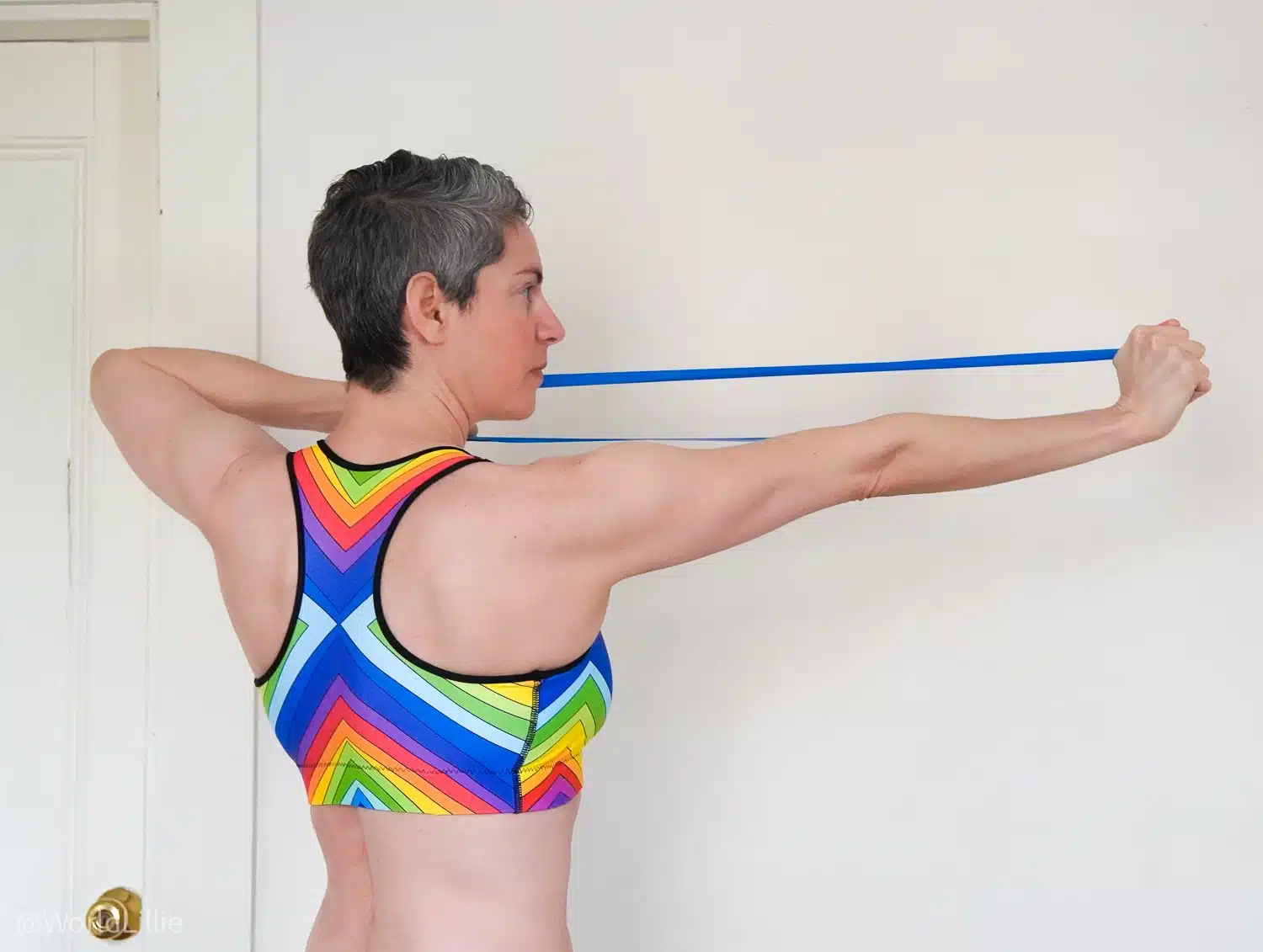 Loved this loop exercise from "25 Minute Speed Train."